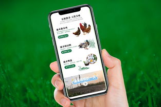 自然之涌，純凈之禾 涌禾農(nóng)場(chǎng)全案品牌形象塑造之路
